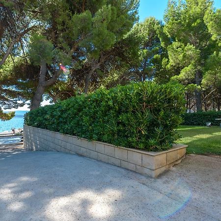 Apartment Promenade Zlatni Rat Bol Rum bild